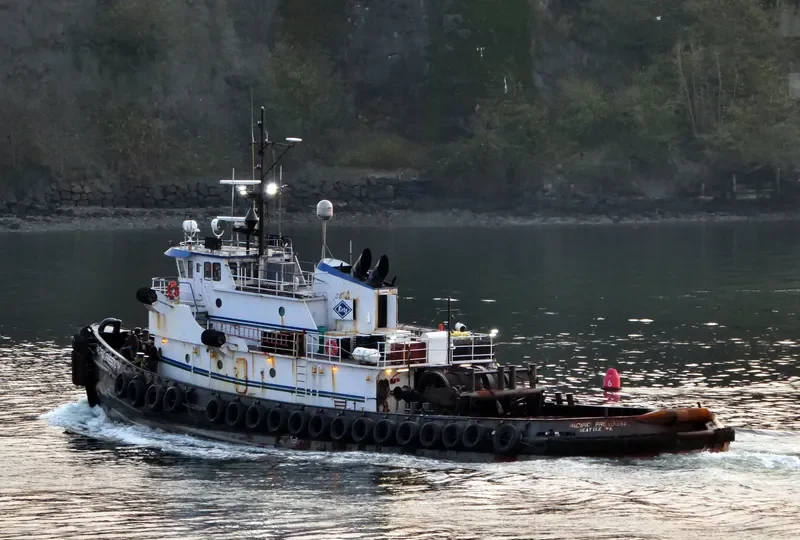 ALICE C Tug Boat IMO 7047708