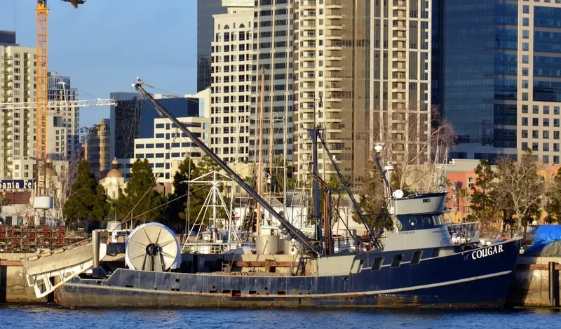 COUGAR Fishing Vessel IMO 7047772 photo 2
