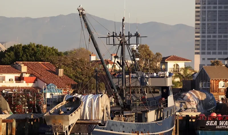 COUGAR Fishing Vessel IMO 7047772 photo 5
