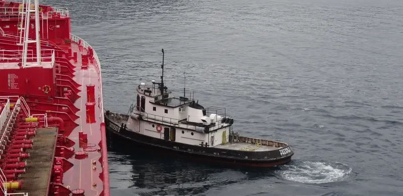 TATOSO Tug Boat IMO 7048300 photo 2