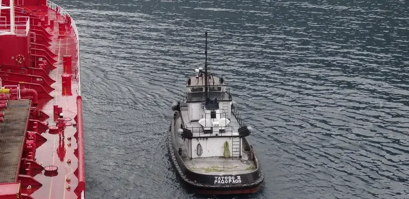TATOSO Tug Boat IMO 7048300 photo 3