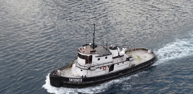 TATOSO Tug Boat IMO 7048300 photo 4