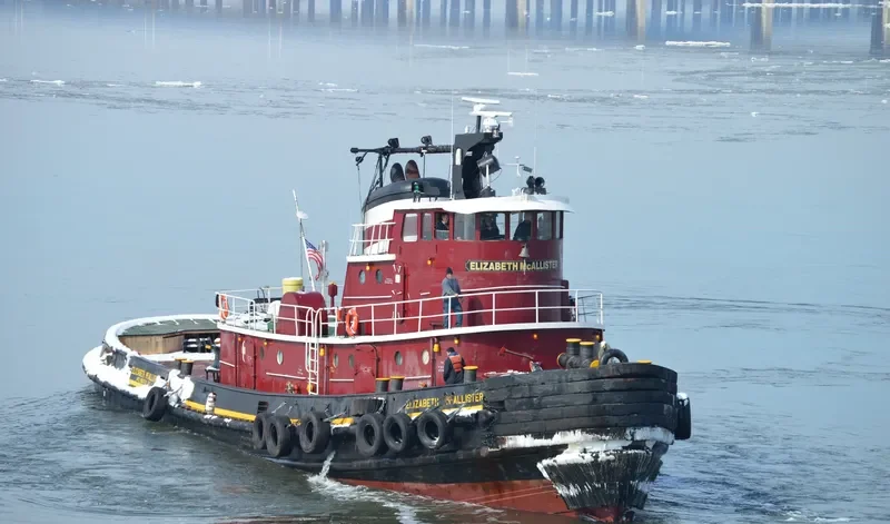 ELIZABETH MCALLISTER Tug Boat IMO 7048348 photo 3