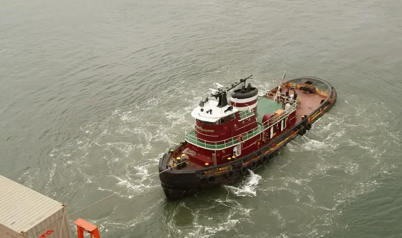 ELIZABETH MCALLISTER Tug Boat IMO 7048348 photo 4