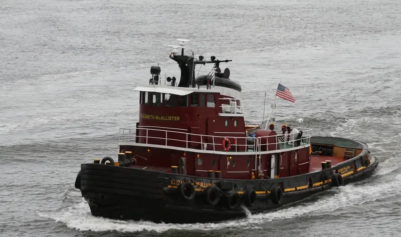 ELIZABETH MCALLISTER Tug Boat IMO 7048348 photo 7