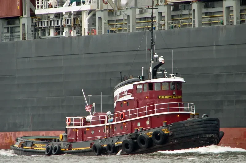 ELIZABETH MCALLISTER Tug Boat IMO 7048348 photo 8