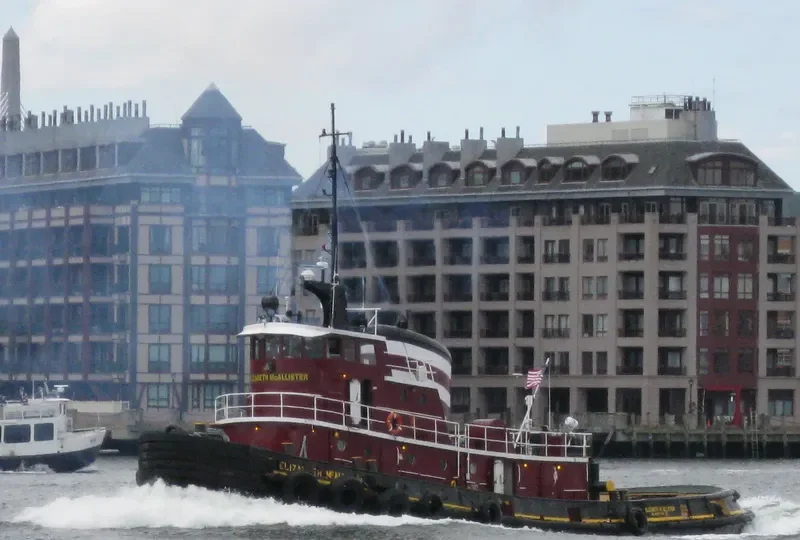 ELIZABETH MCALLISTER Tug Boat IMO 7048348 photo 9