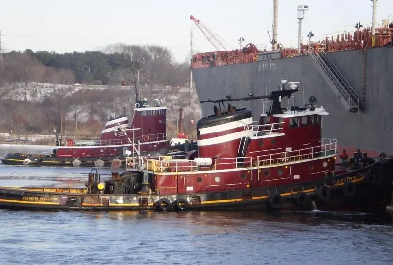 ELIZABETH MCALLISTER Tug Boat IMO 7048348 photo 10