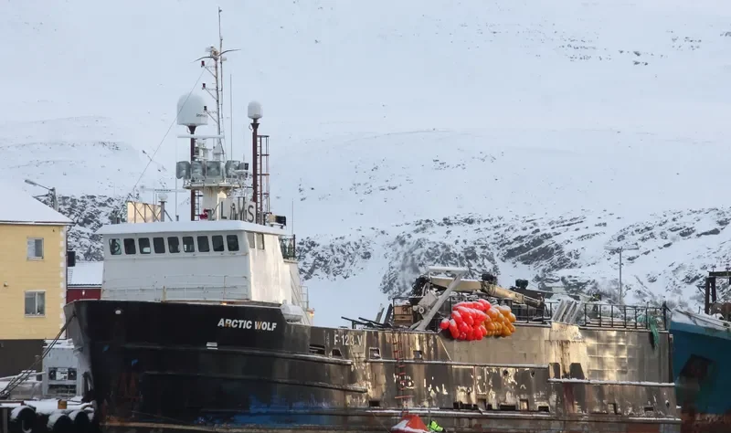 ARCTIC WOLF General Cargo IMO 7048350