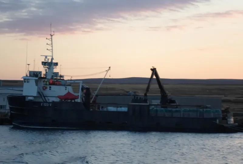 ARCTIC WOLF General Cargo IMO 7048350 photo 4