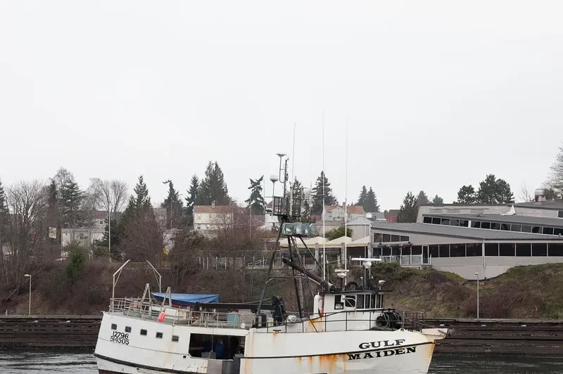 GULF MAIDEN Fishing Vessel IMO 7049627 photo 3