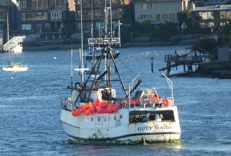 GULF MAIDEN Fishing Vessel IMO 7049627 photo 7