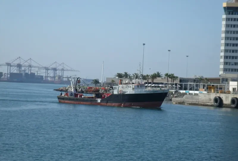 SOUTHERN CRUSADER Fishing Vessel IMO 7050107