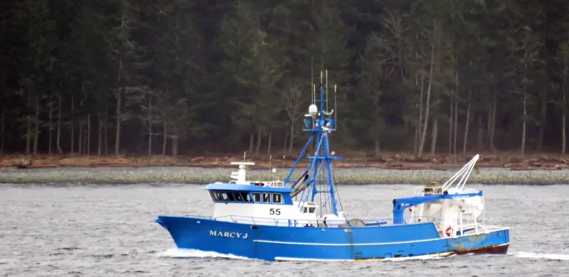 MARCY J Fishing Vessel IMO 7050690 photo 8