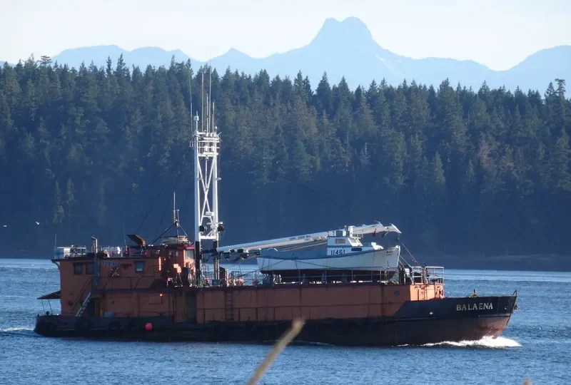 BALAENA Fishing Vessel IMO 7051450