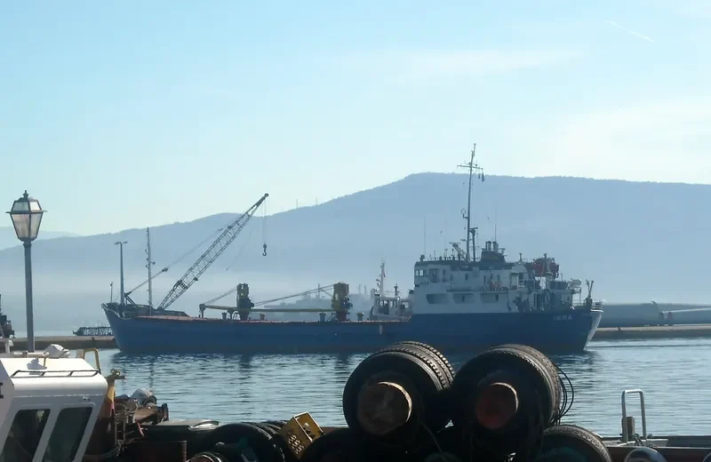HERA General Cargo IMO 7052155 photo 8