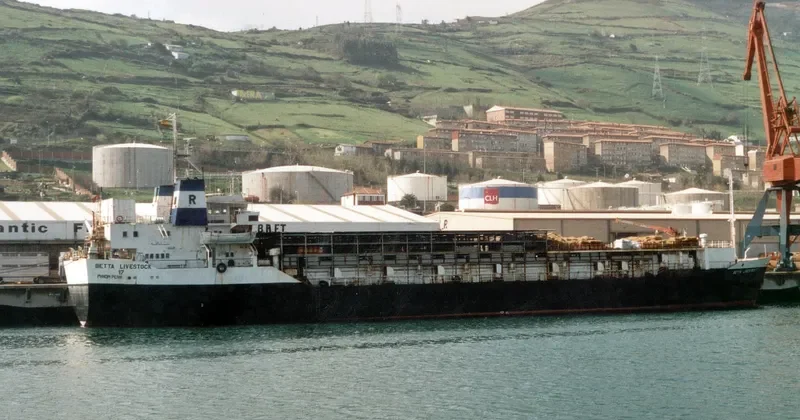 CAPTAIN SALIM General Cargo IMO 7052179 photo 3