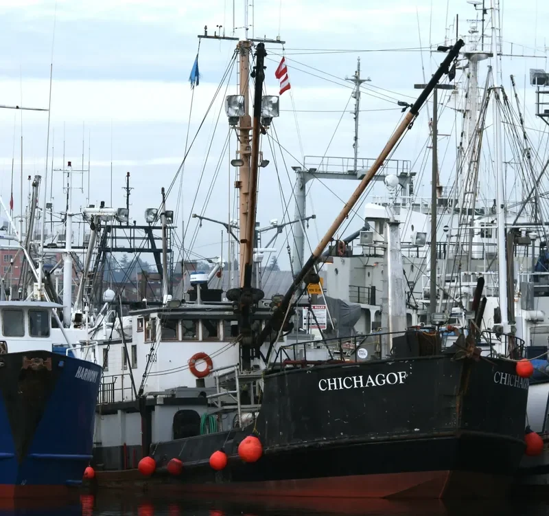 CHICHAGOF Fishing Vessel IMO 7100421 photo 4