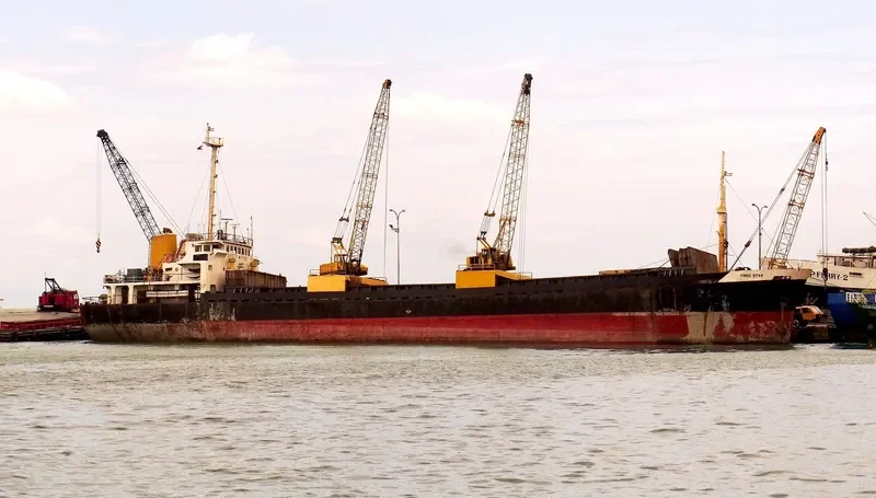 FREE STAR General Cargo IMO 7101463