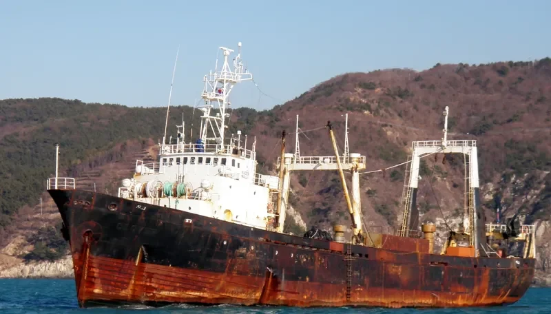 MALLI General Cargo IMO 7101748 photo 2