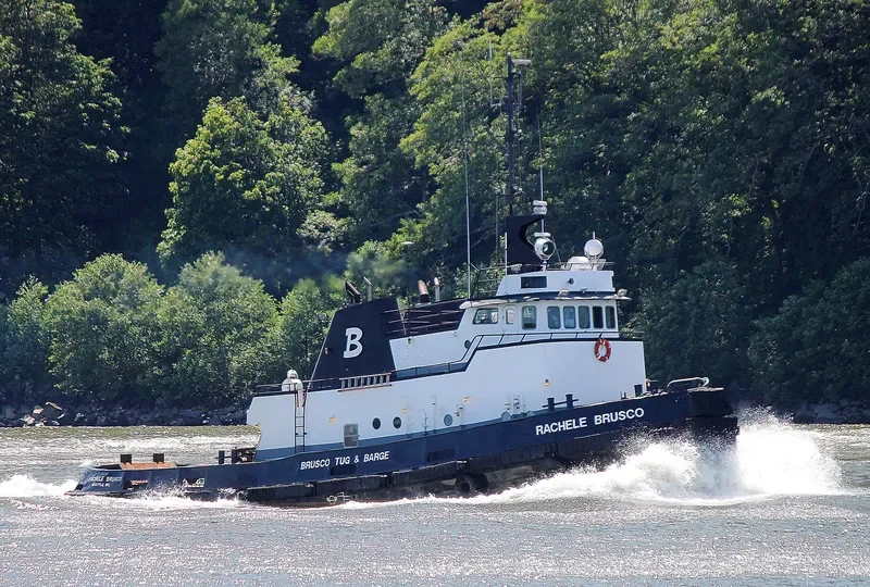 RACHELE BRUSCO Tug Boat IMO 7101827