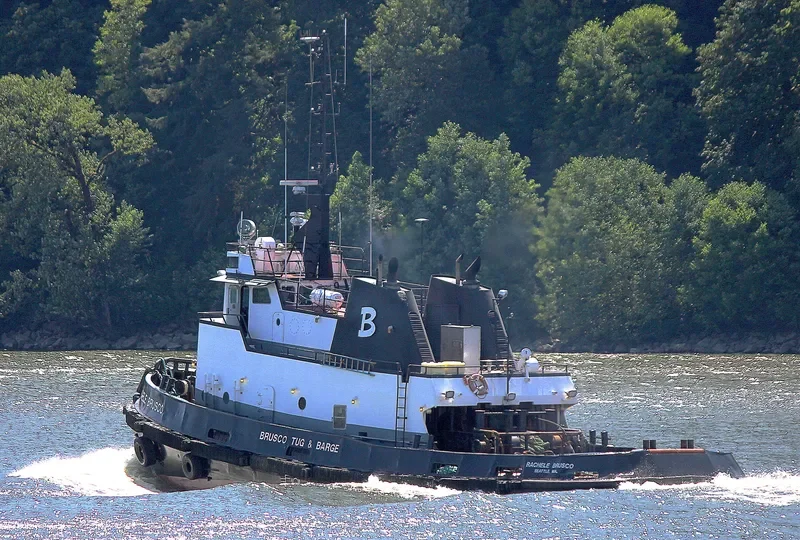 RACHELE BRUSCO Tug Boat IMO 7101827 photo 2