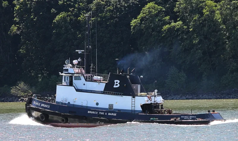 RACHELE BRUSCO Tug Boat IMO 7101827 photo 3