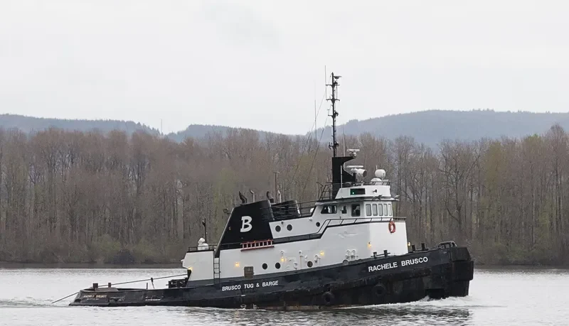 RACHELE BRUSCO Tug Boat IMO 7101827 photo 4