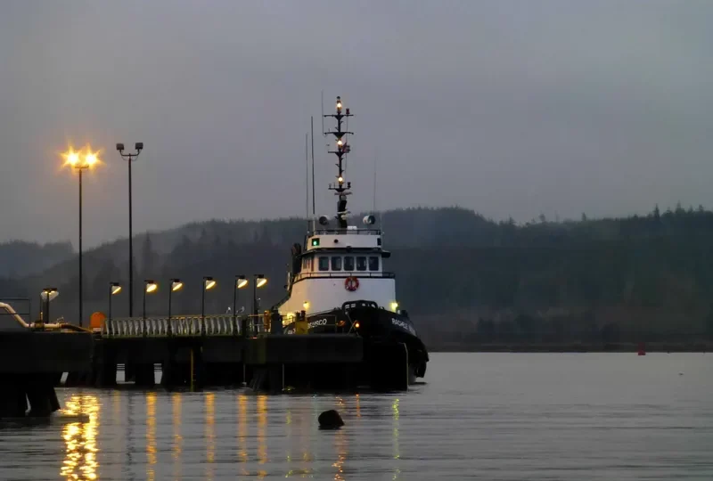 RACHELE BRUSCO Tug Boat IMO 7101827 photo 5