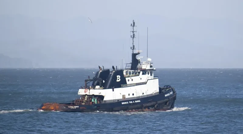 RACHELE BRUSCO Tug Boat IMO 7101827 photo 6