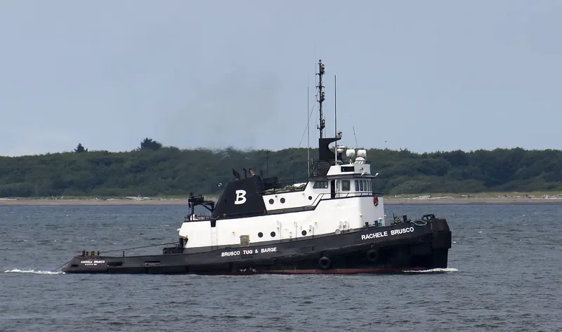 RACHELE BRUSCO Tug Boat IMO 7101827 photo 9