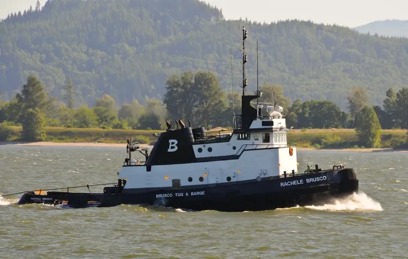 RACHELE BRUSCO Tug Boat IMO 7101827 photo 10