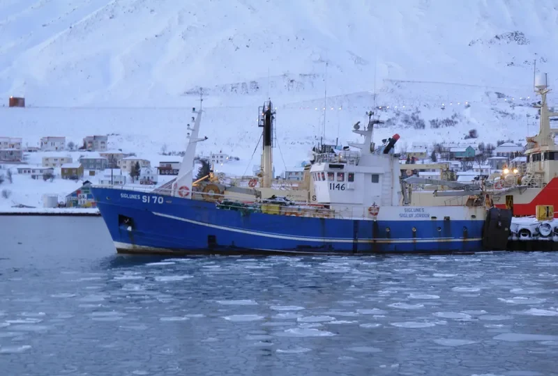 SIGLUNES Fishing Vessel IMO 7102534 photo 2