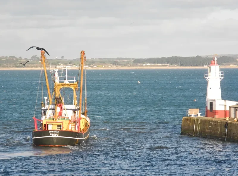 CORNISHMAN Fishing Vessel IMO 7102558 photo 10