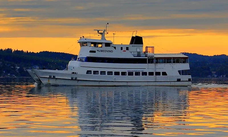 MEDVIND Passenger Ship IMO 7102998 photo 7