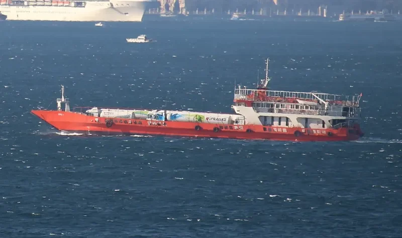 AYIS I Ro-Ro IMO 7103198 photo 6