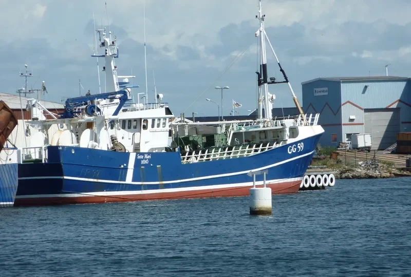 SETTE MARI General Cargo IMO 7103538 photo 3