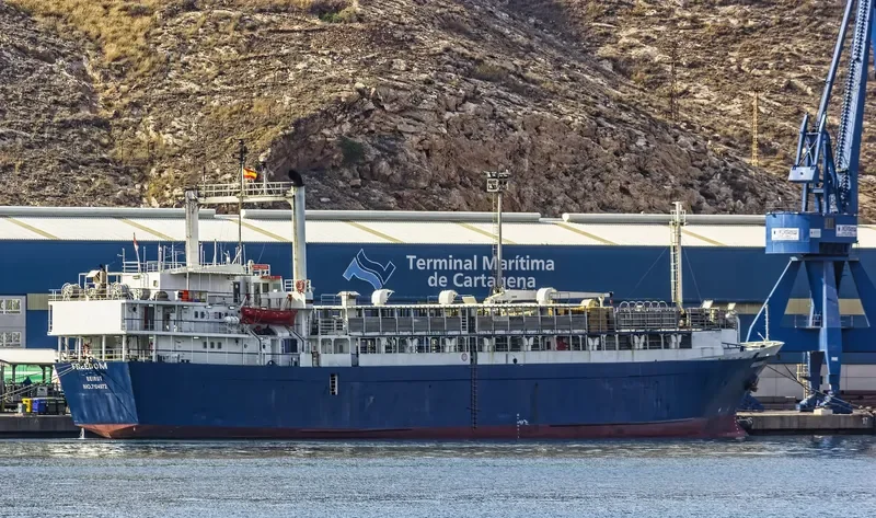 FREEDOM General Cargo IMO 7104972