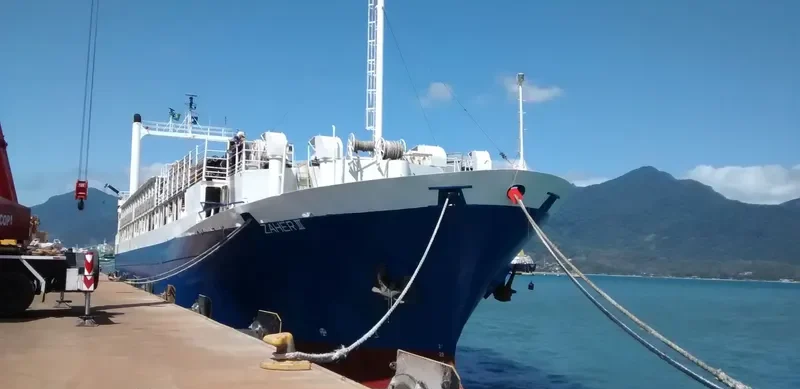 FREEDOM General Cargo IMO 7104972 photo 3