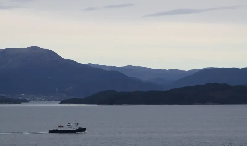 AUSTRHEIM Ro-Ro IMO 7105005 photo 3