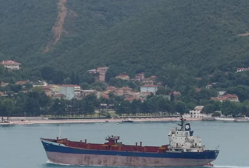 KAYAN 1 General Cargo IMO 7106176 photo 5