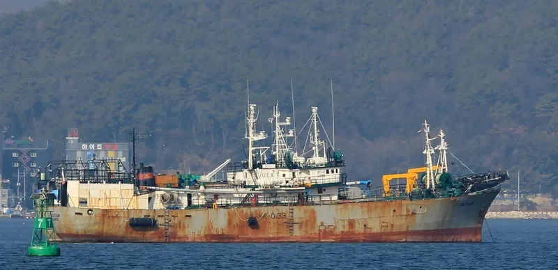 SVETLYI General Cargo IMO 7106322 photo 2