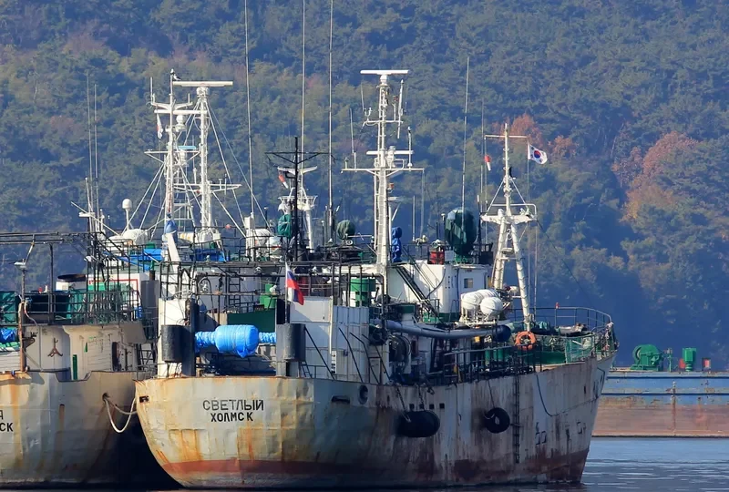 SVETLYI General Cargo IMO 7106322 photo 3