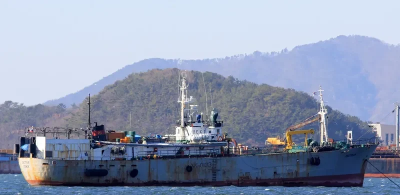 SVETLYI General Cargo IMO 7106322 photo 5