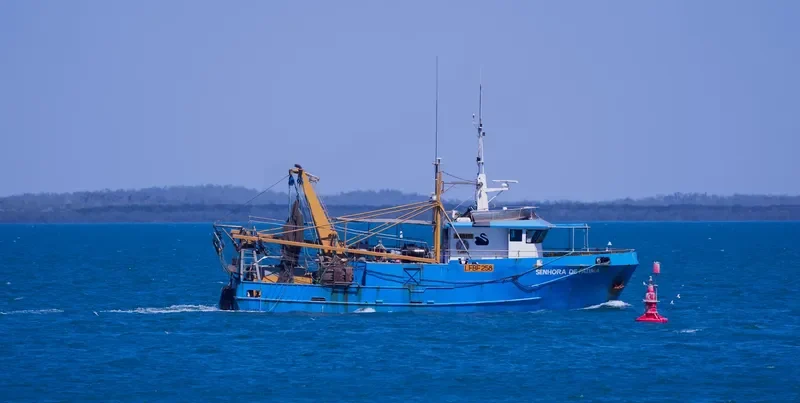 SENHORA DE FATIMA Fishing Vessel IMO 7106839