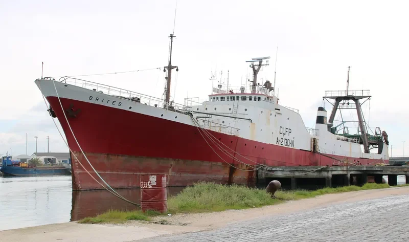 BRITES General Cargo IMO 7107431