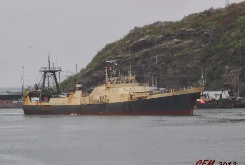 BRITES General Cargo IMO 7107431 photo 7