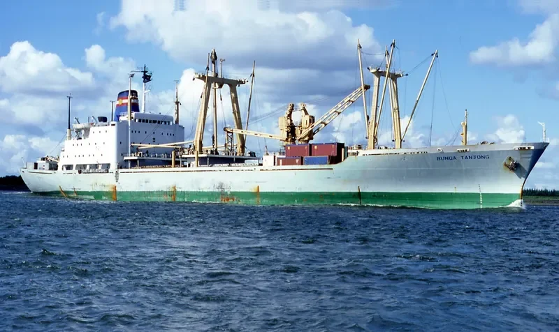 BUNGA TANJONG General Cargo Vessel IMO 7108473