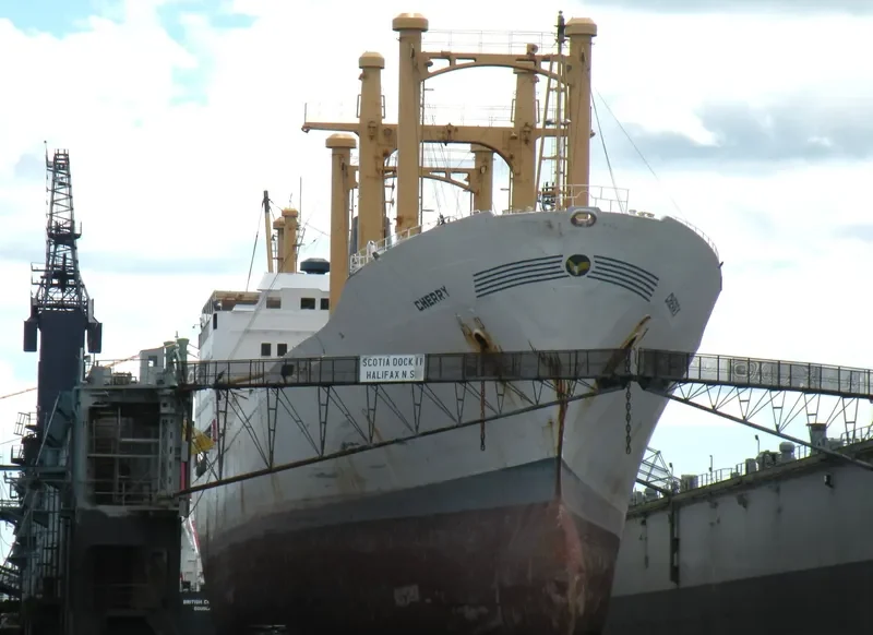 CHERRY General Cargo IMO 7110062 photo 4