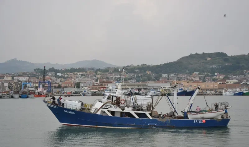 BRIVIDO Fishing Vessel IMO 7110268